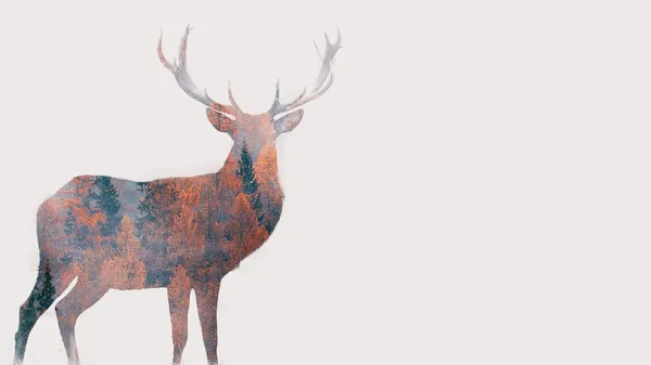 Artistic rendering of a deer in front of a forest