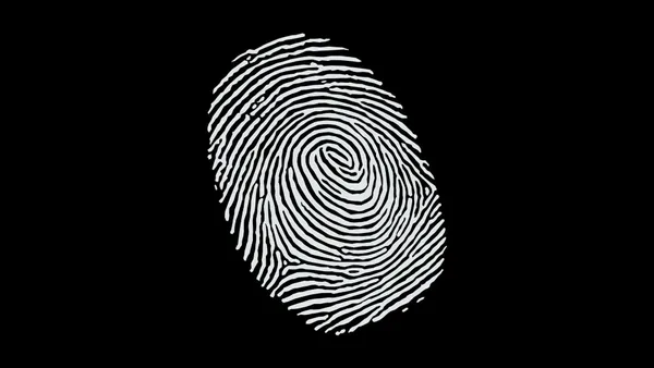 Black and white fingerprint on a black background