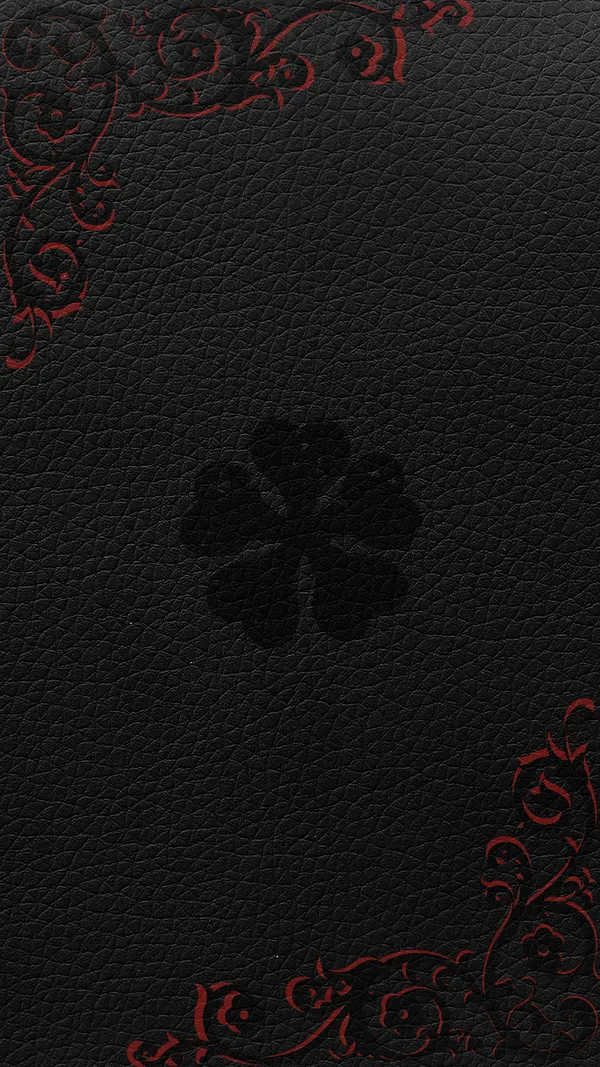 Black leather book cover with red embossed designs