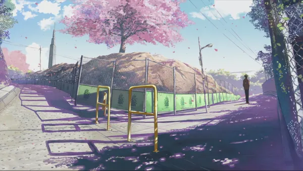 Cherry blossom tree is in full bloom next to a road