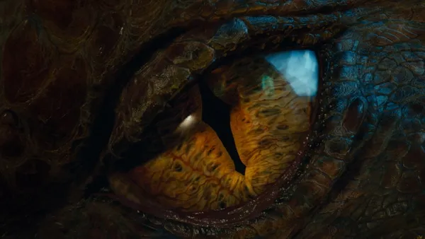 Close up of a dragon's eye