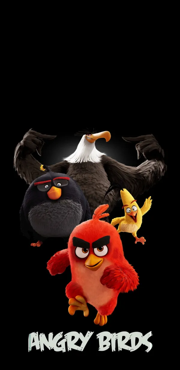 Four Angry Birds characters from the movie on a black background