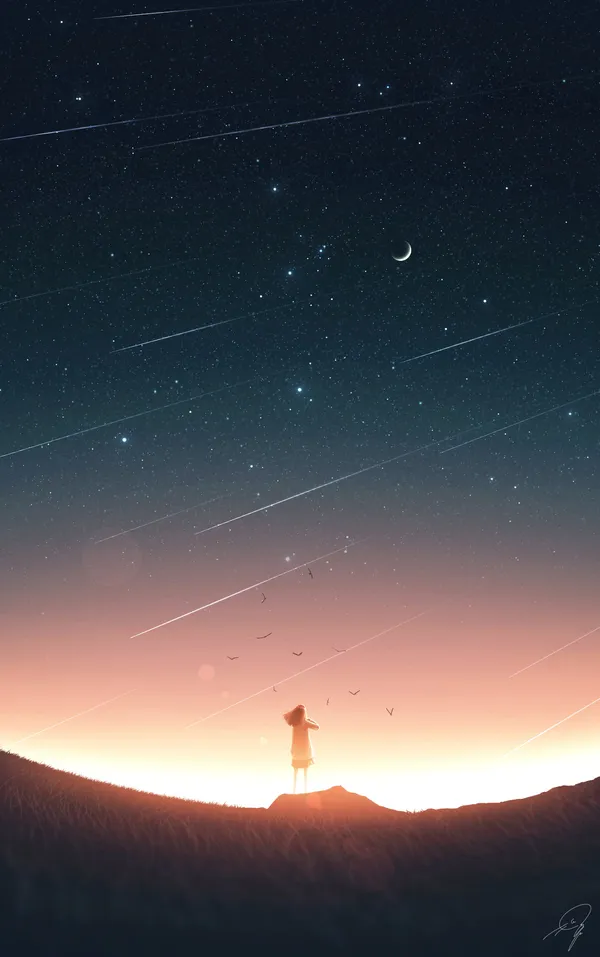 Girl standing on a hill admiring the night sky