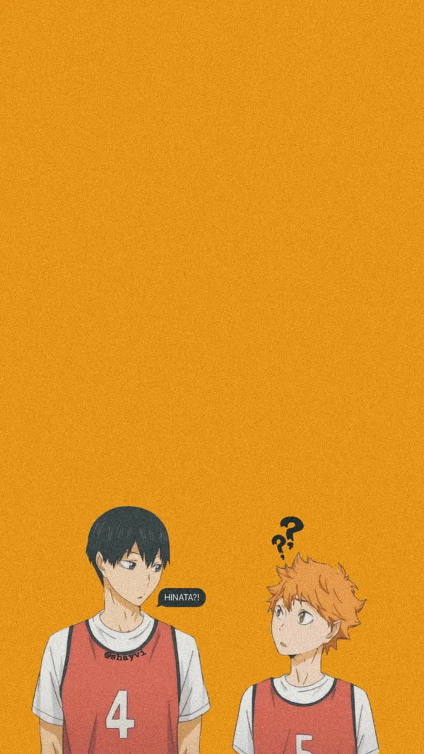 Hinata and Kageyama from Haikyuu!!
