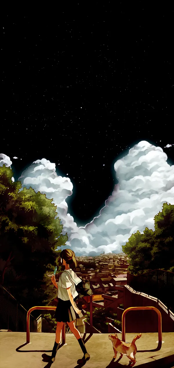 The photo shows a girl looking up at the night sky with a cat nearby